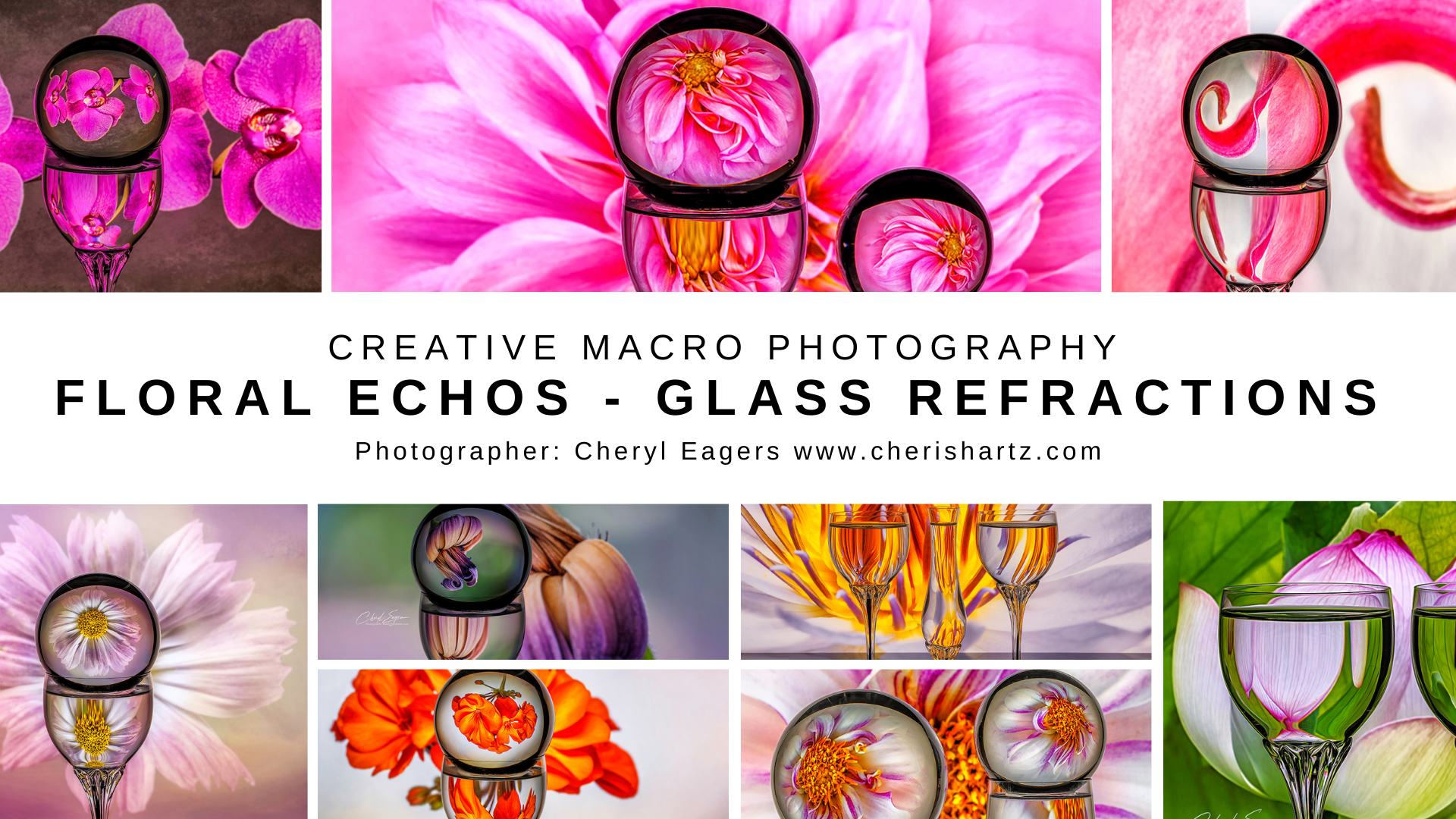 creative photography using glass refractions and your own flower images