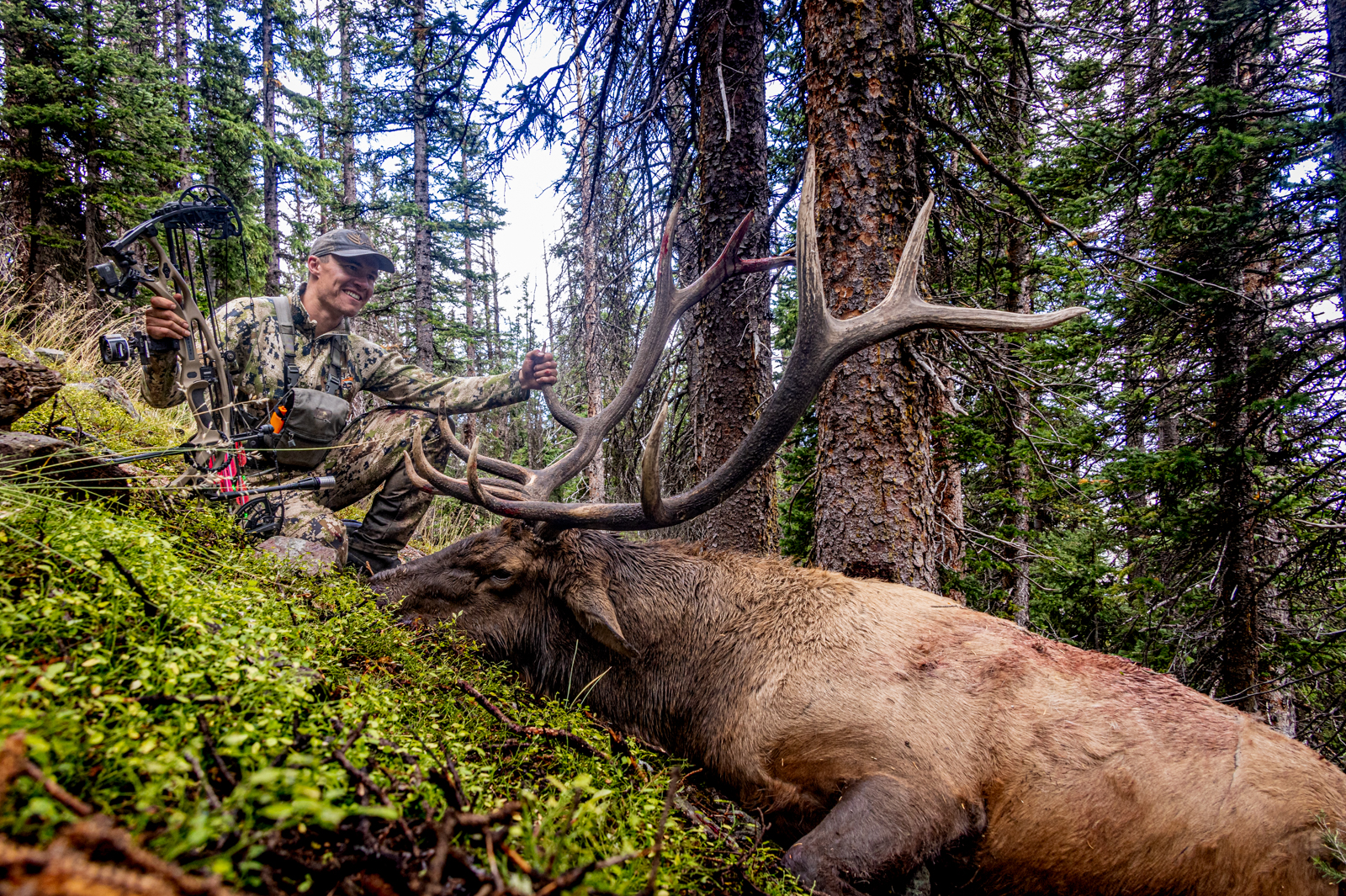 Colorado Over the Counter Public Land Elk killed with the bow set up from this online course