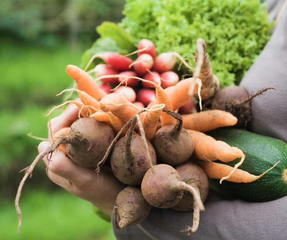 Garden Chick Gardening Course Beginners