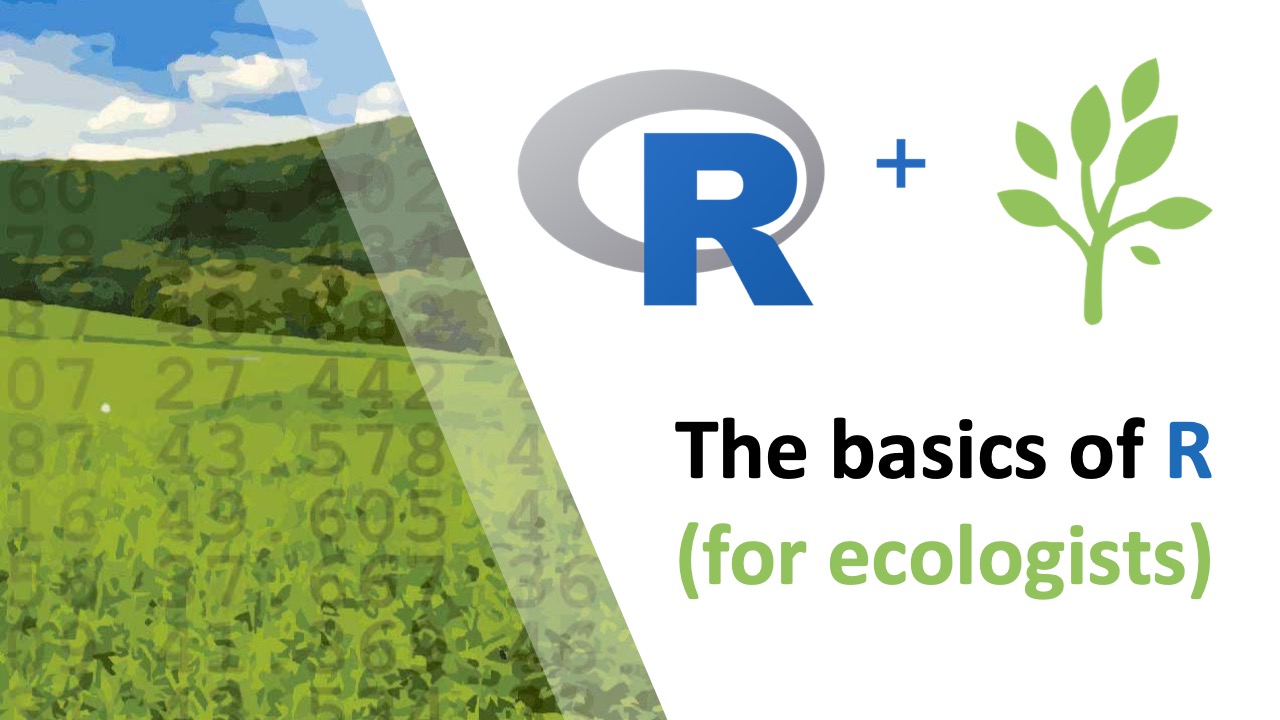 The Basics of R (for ecologists) thumbnail showing the logo and a landscape with numbers