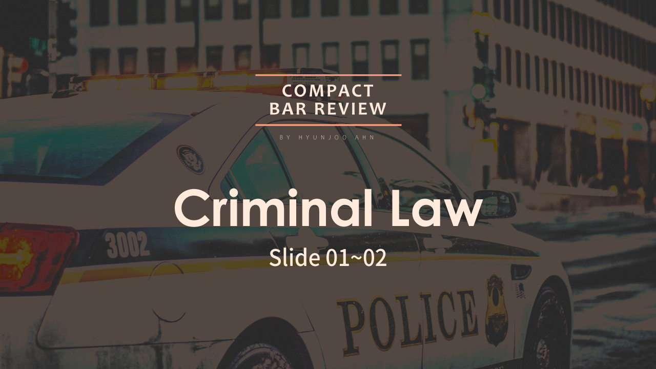 Crim law 샘플 강의