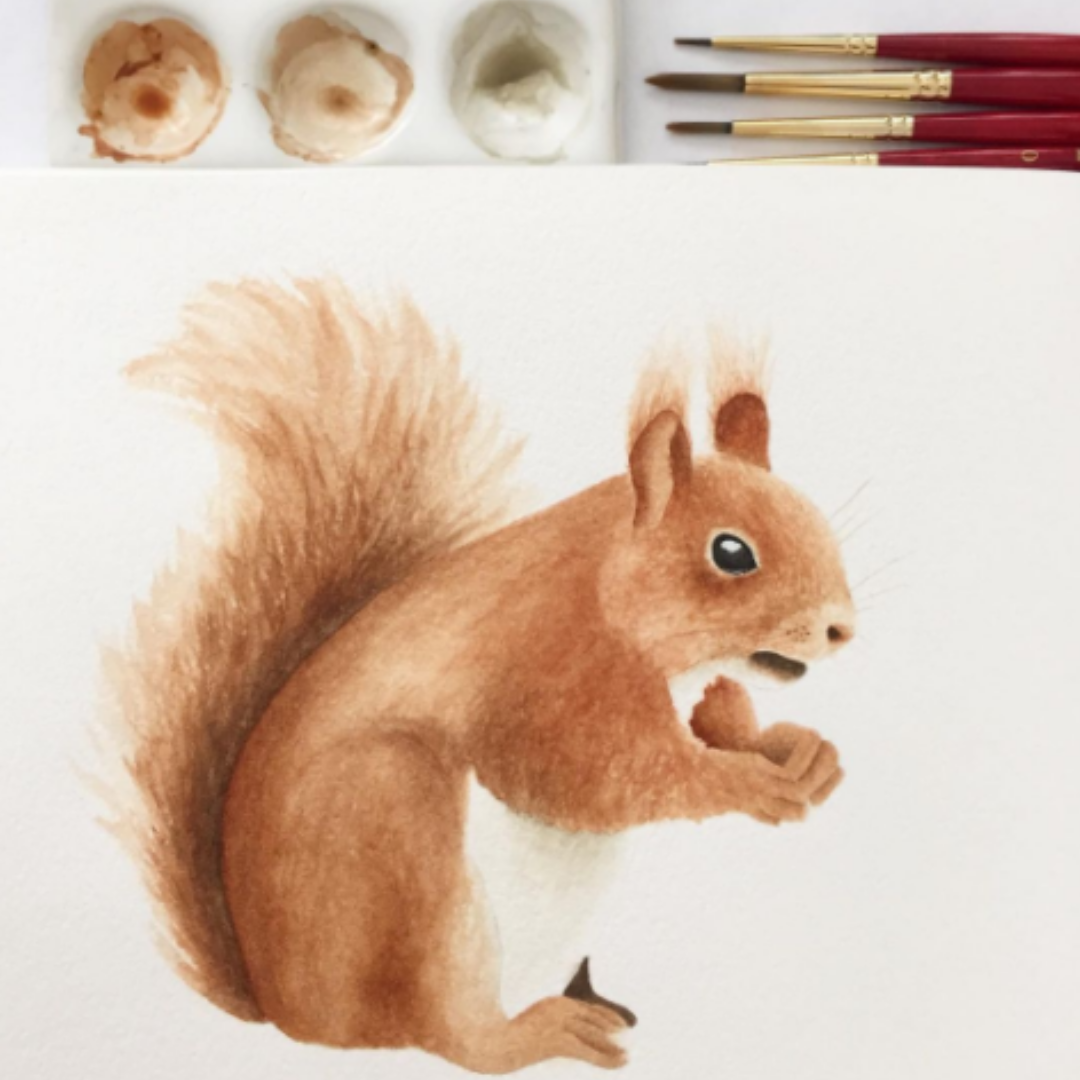 10 Day Watercolor Woodland Animal Challenge | Allison Lyon Art