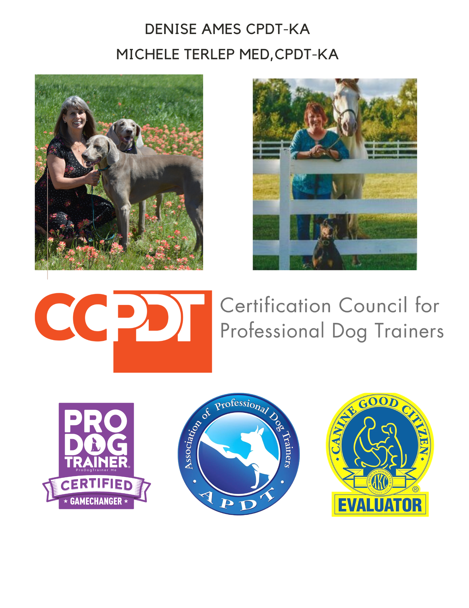 Certified Professional Dog Trainer