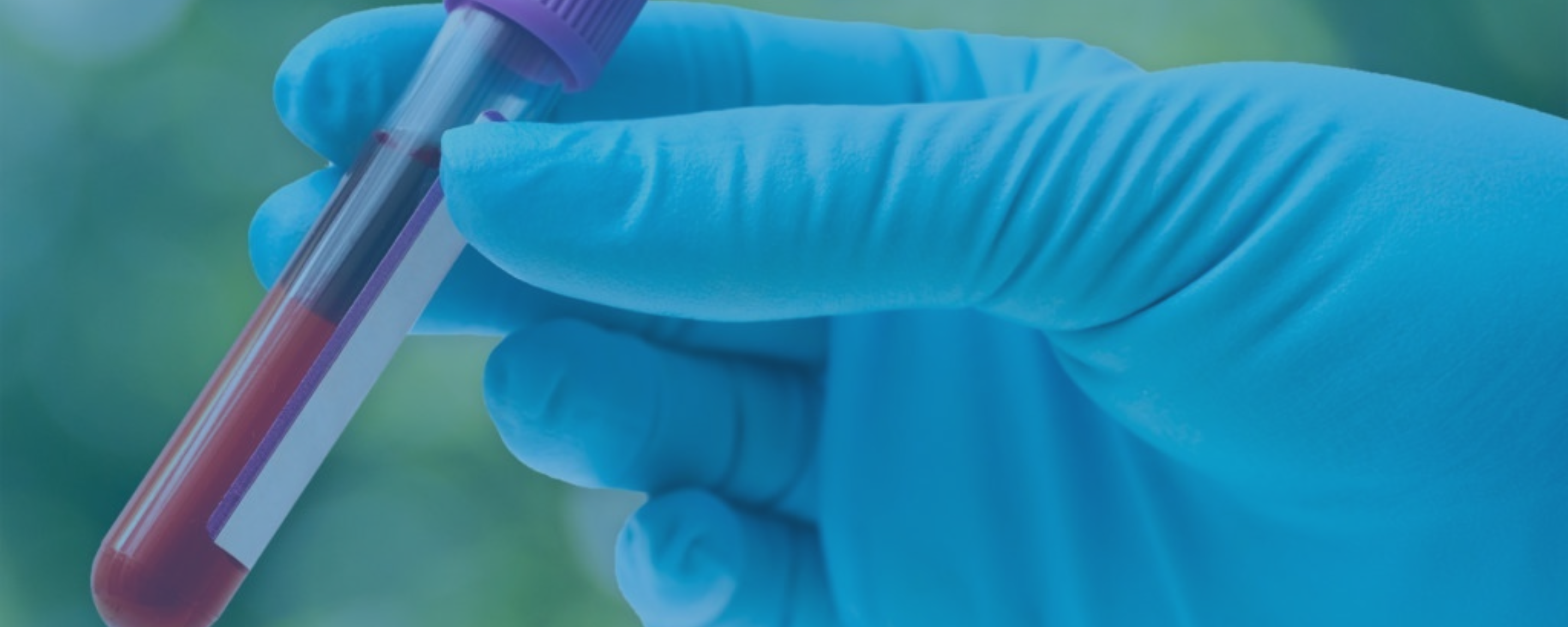 Diagnosis of Bartonella Species Infections