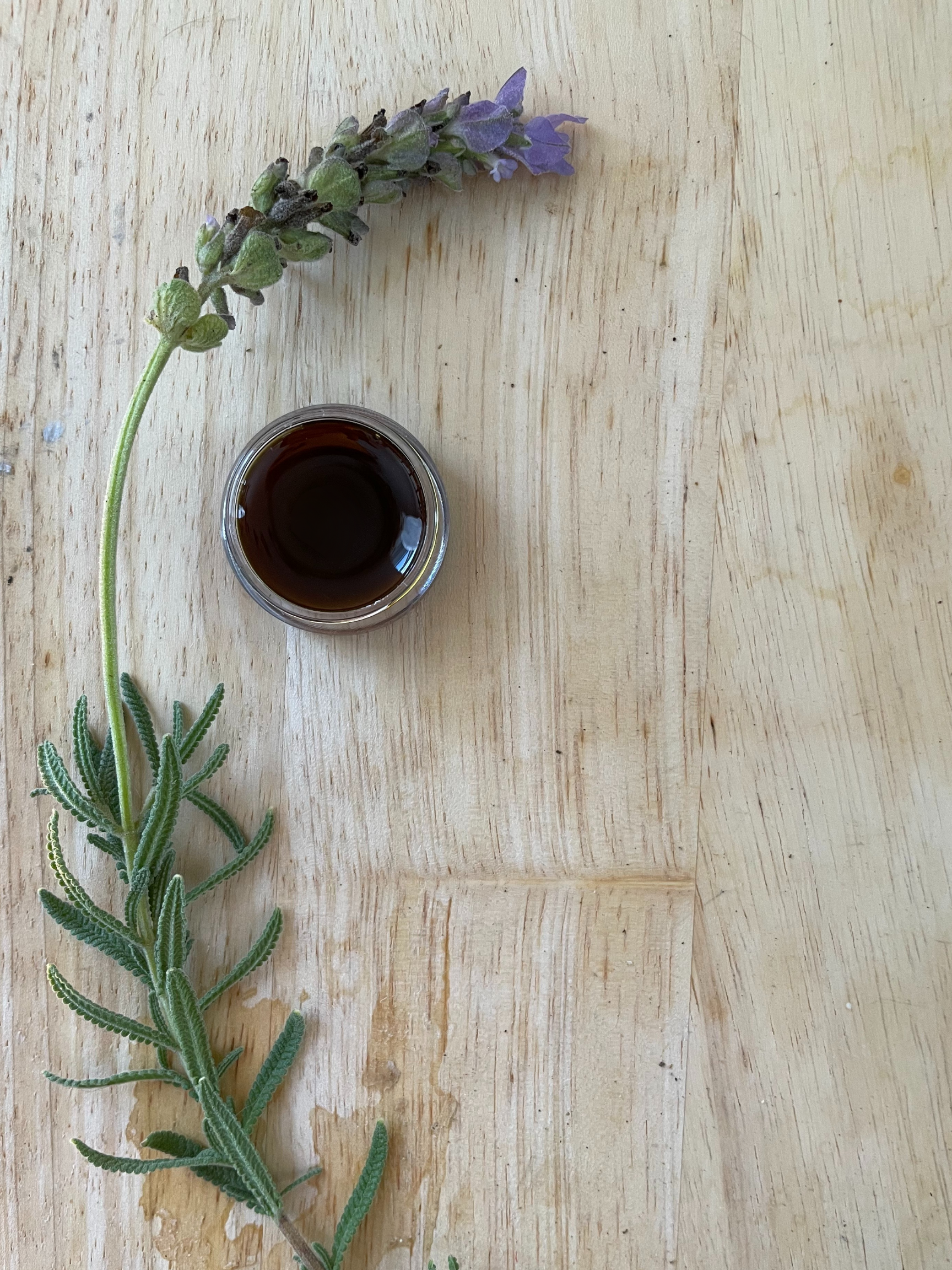 a jar of lavender perfume concrete next to a sprig of fresh lavender
