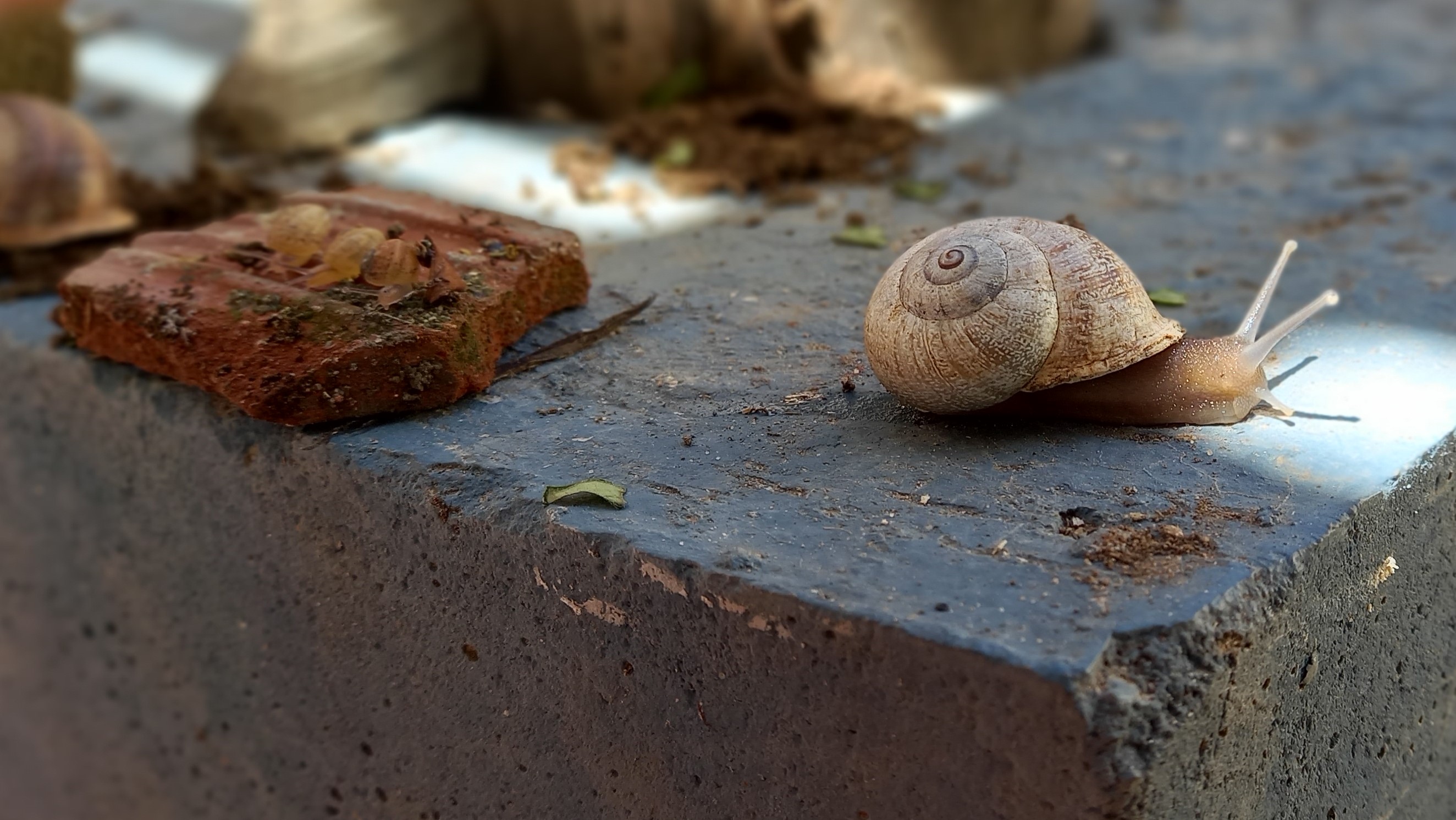 Foto El Poder de la Pausa por Emmanuelle Wallet. 