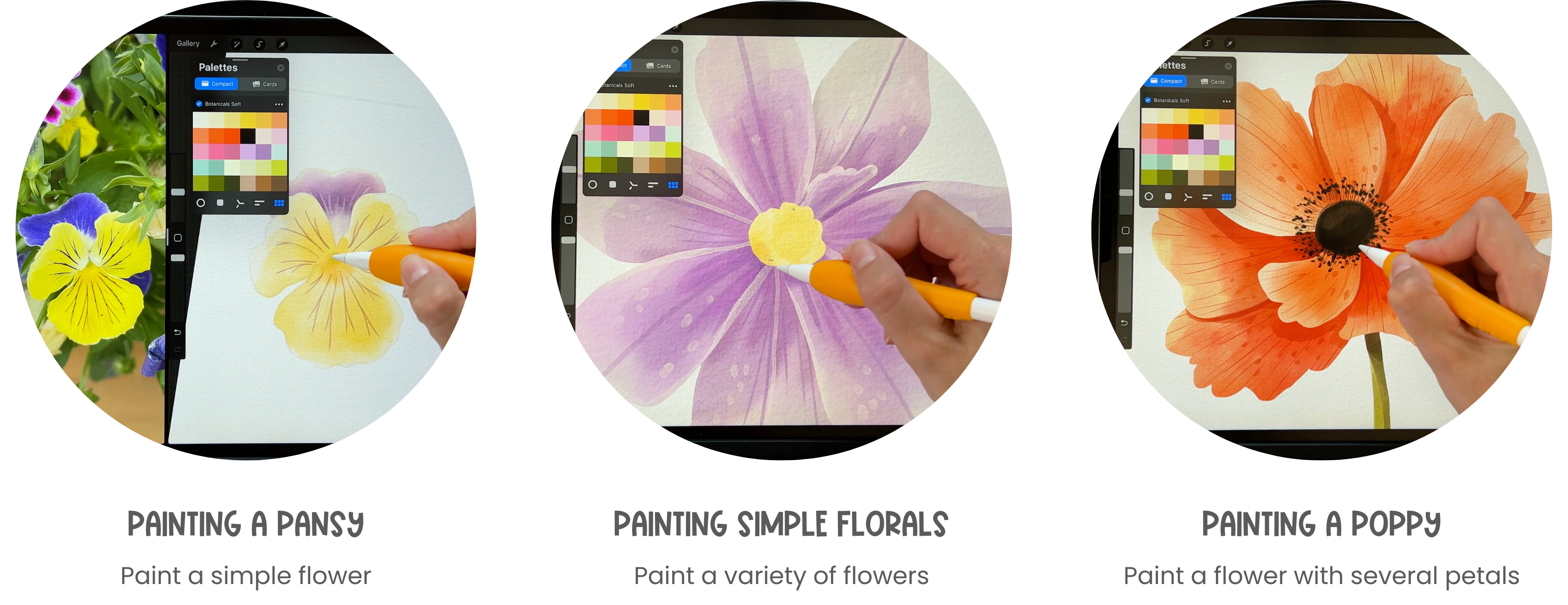 Pansy, simple florals and poppy