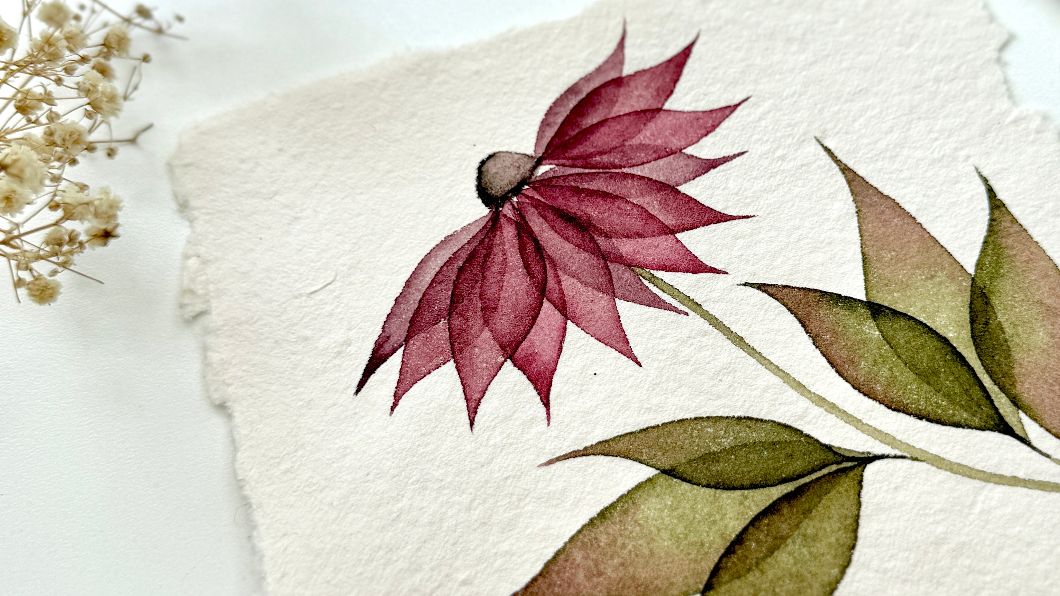 Beginner Friendly Watercolor Vintage Cone Flower Echinacea Flower Video Painting Course