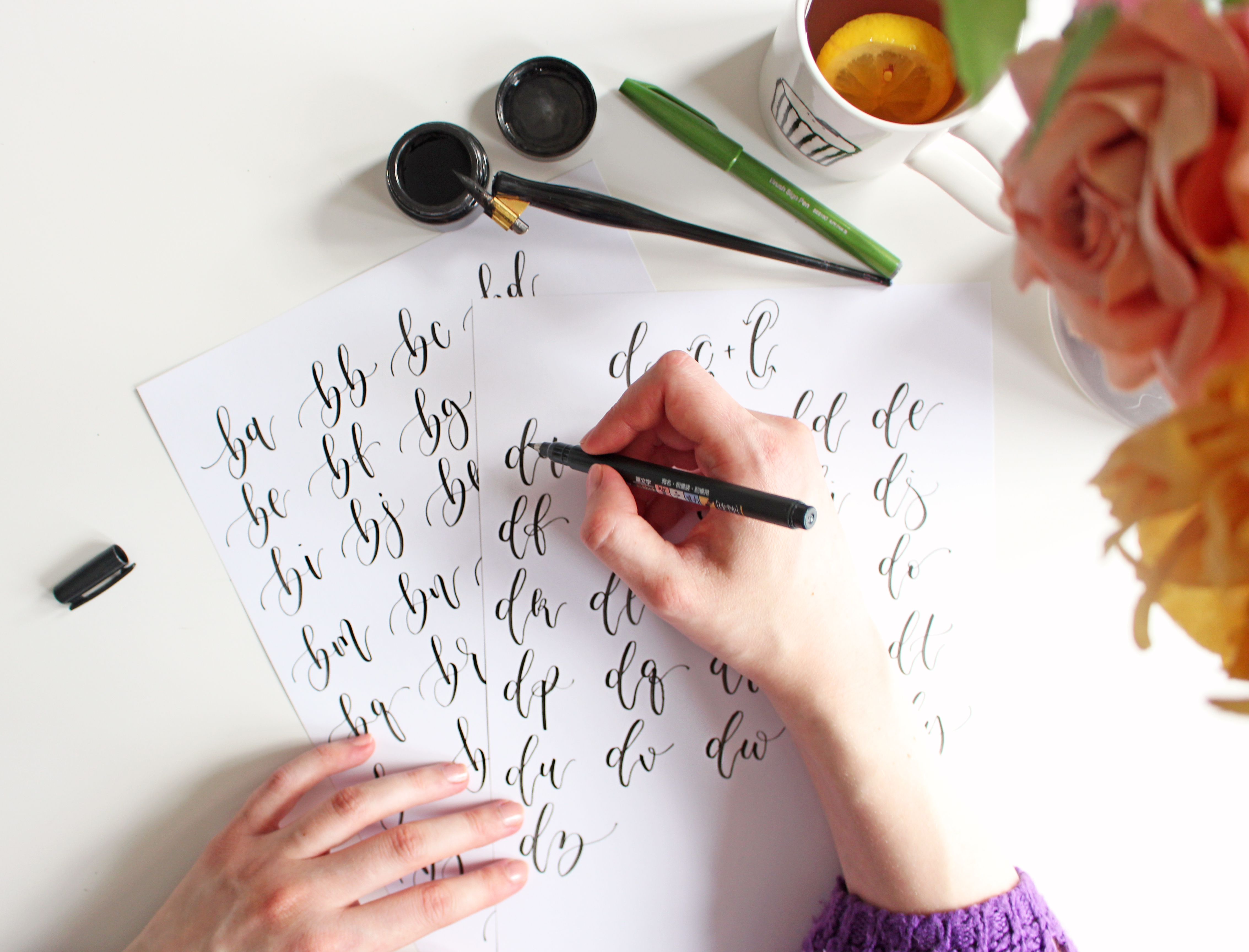 lettering course