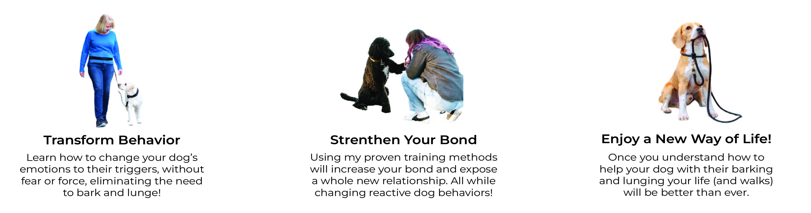 an image for reactive dog training from fearless pet