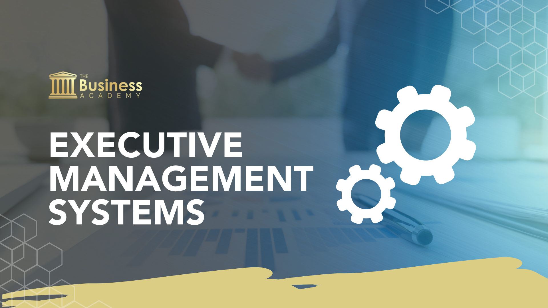 Executive Management Systems 