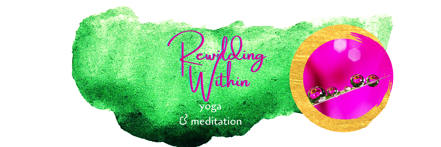 Rewilding Within Yoga & Meditation