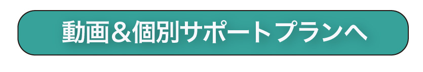 動画＆個別サポートプラン