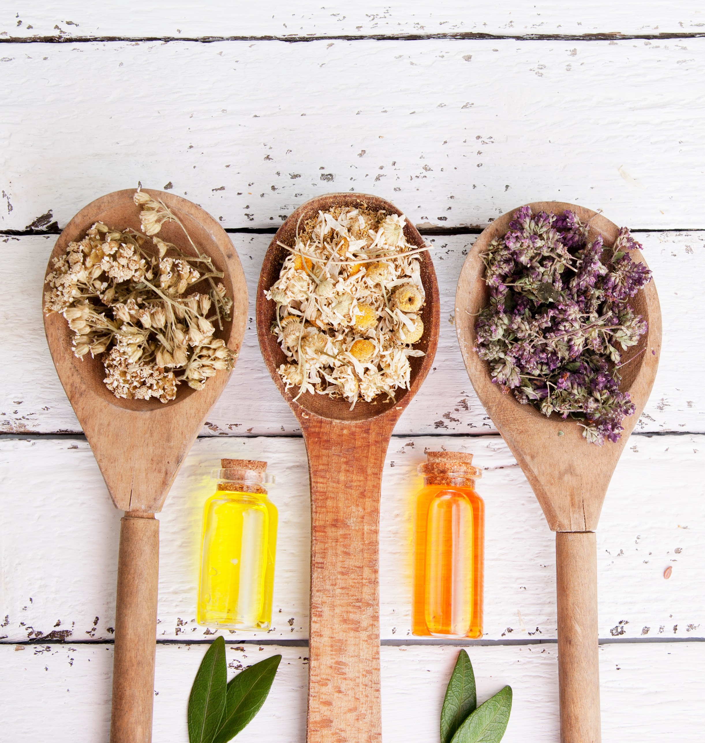 Wooden spoons with dried medicinal herbs and bottles with essence. Medicinal teas and tinctures as an alternative medicine