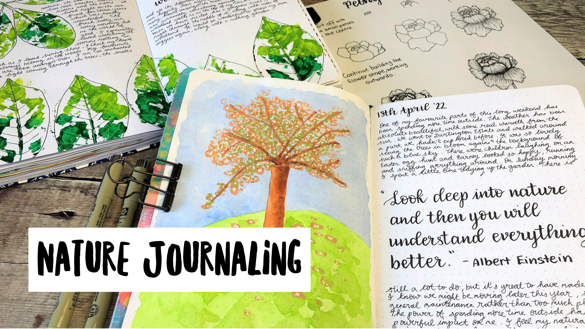 Nature Journaling Course