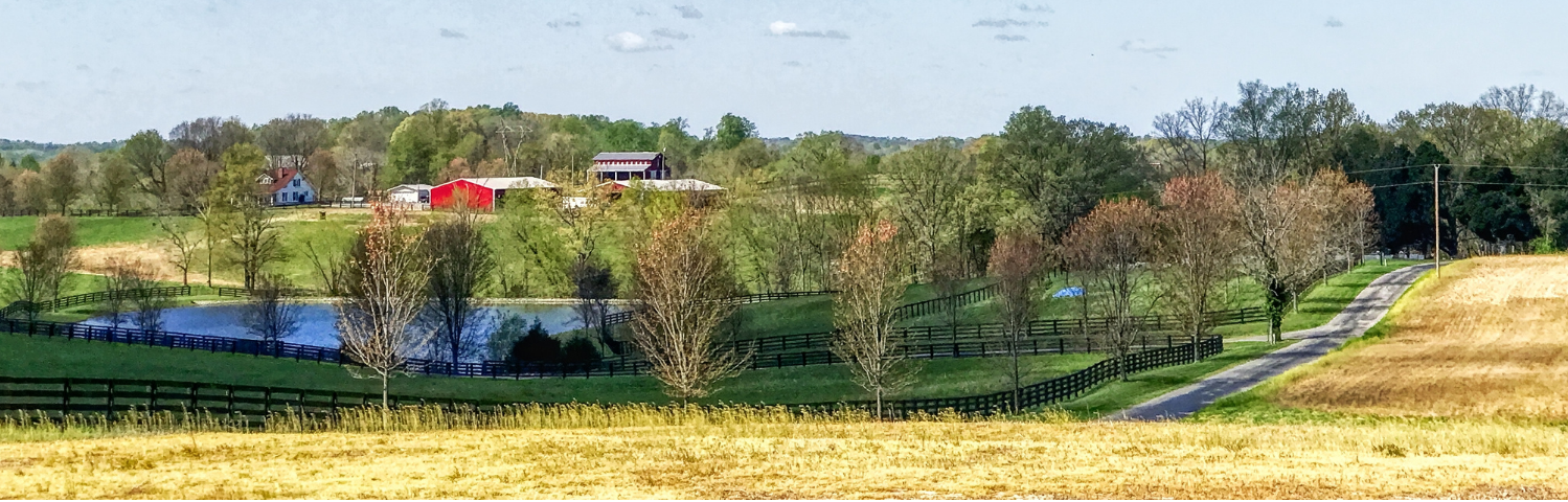 small homestead farm banner photo