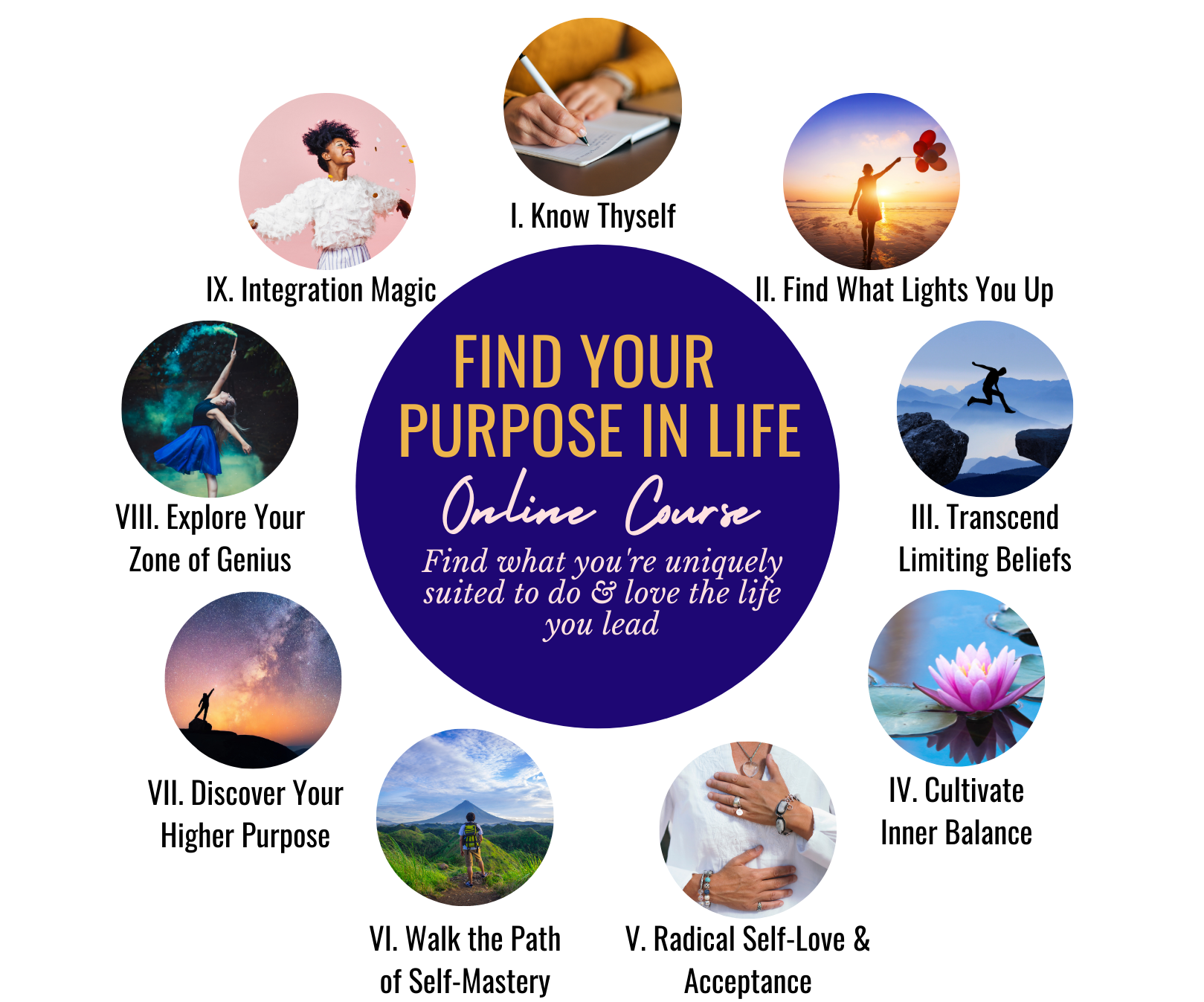 find-your-purpose-in-life-the-come-alive-school