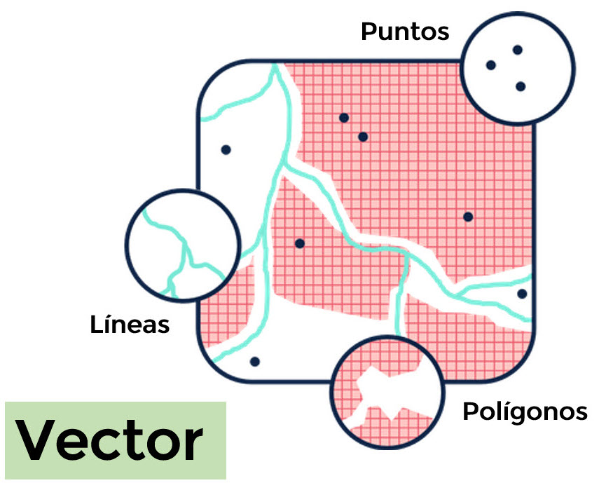 Tipos de información vectorial