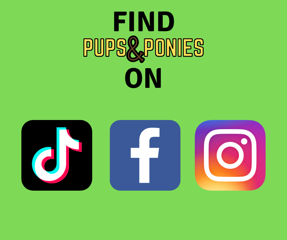 FIND PUPS & PONIES ON SOCIAL MEDIA