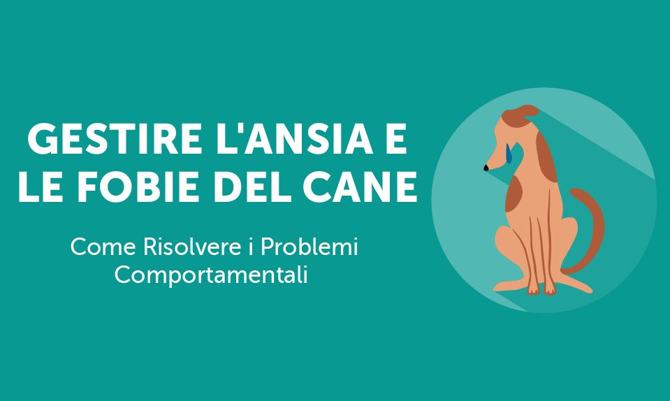 Corsi-Online-Gestire-L-Ansia-e-le-Fobie-del-Cane-Life-Learning