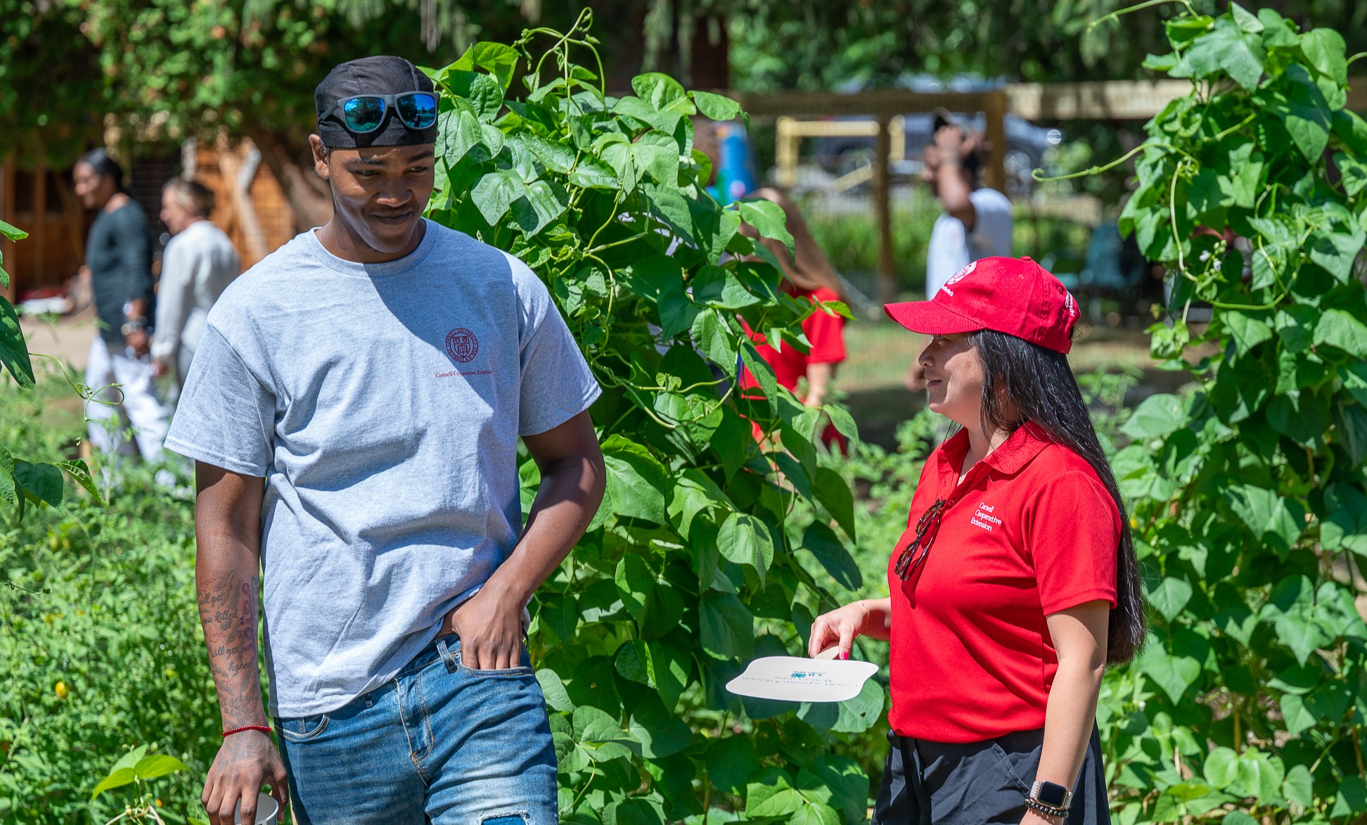 CCE Urban farm in Monroe county, New York