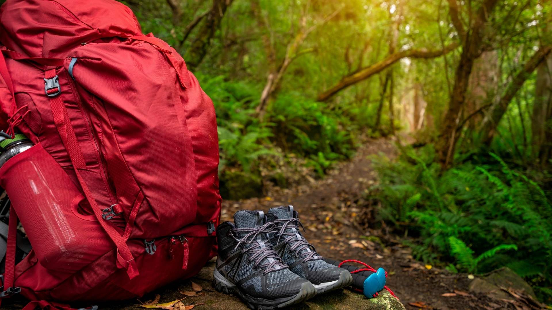 Day Hiking Gear Guide
