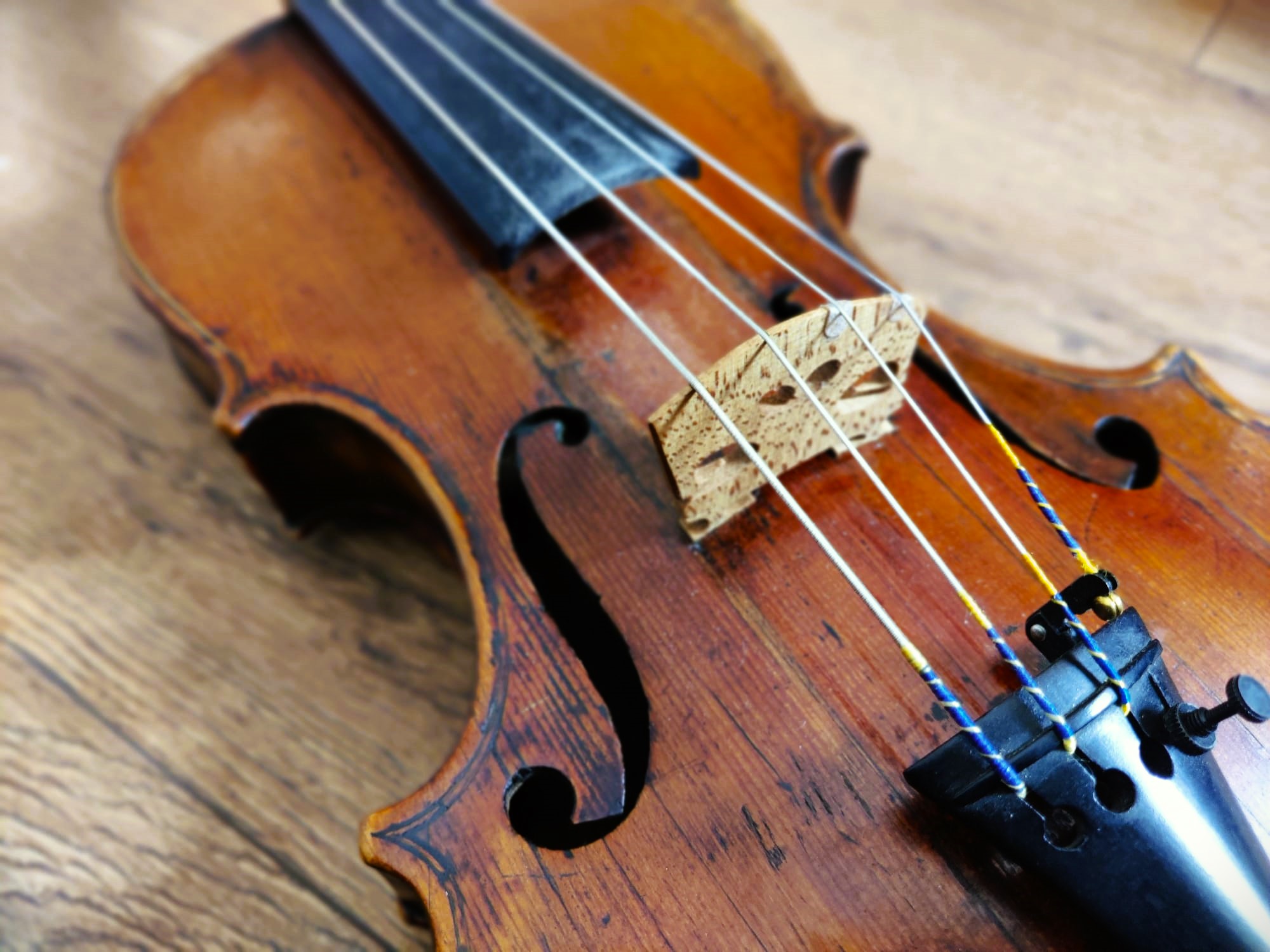 Comprehensive fiddle courses