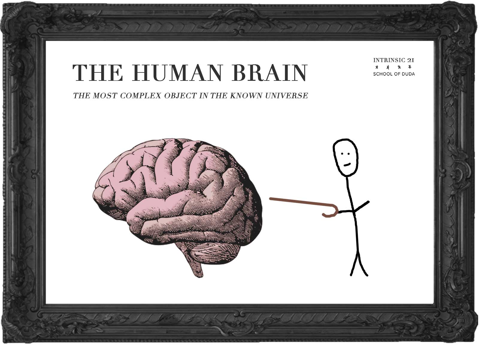 THE HUMAN BRAIN - English Course