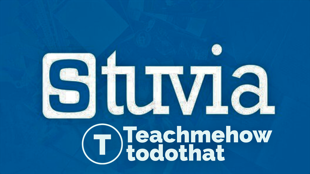 Scriptie Stuvia Teachmehowtodothat