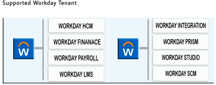 Workday Tenant Types