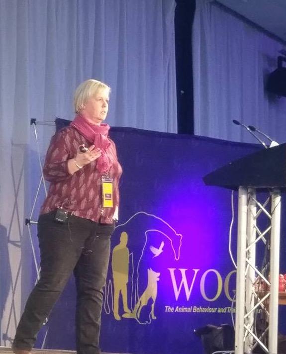 Pam Mackinnon on stage presenting at Woof conference