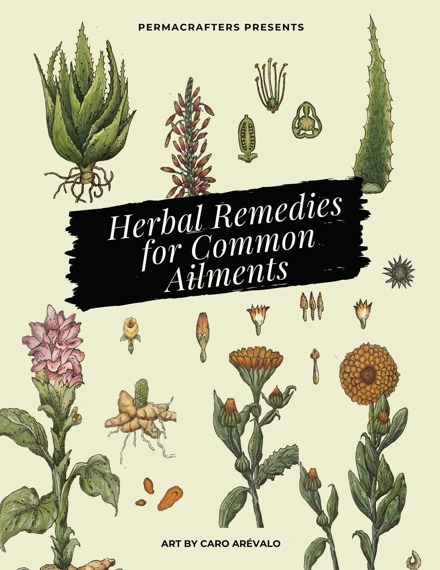 Herbal Remedies Ebook 