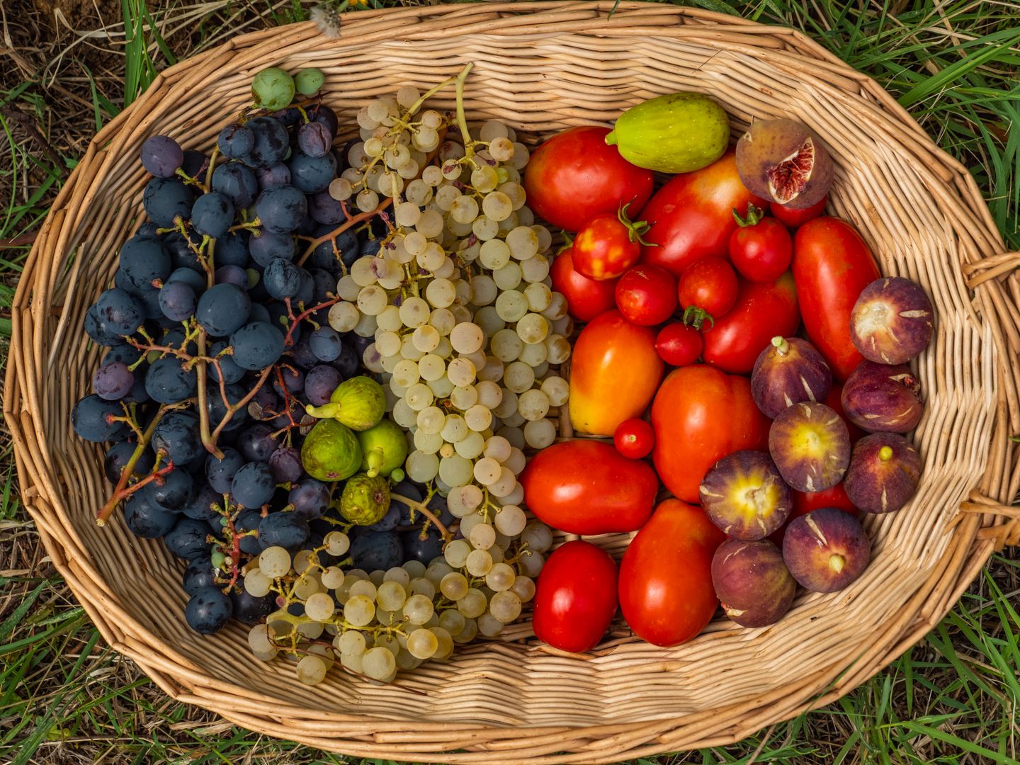 frutti del Bosco di Ogigia