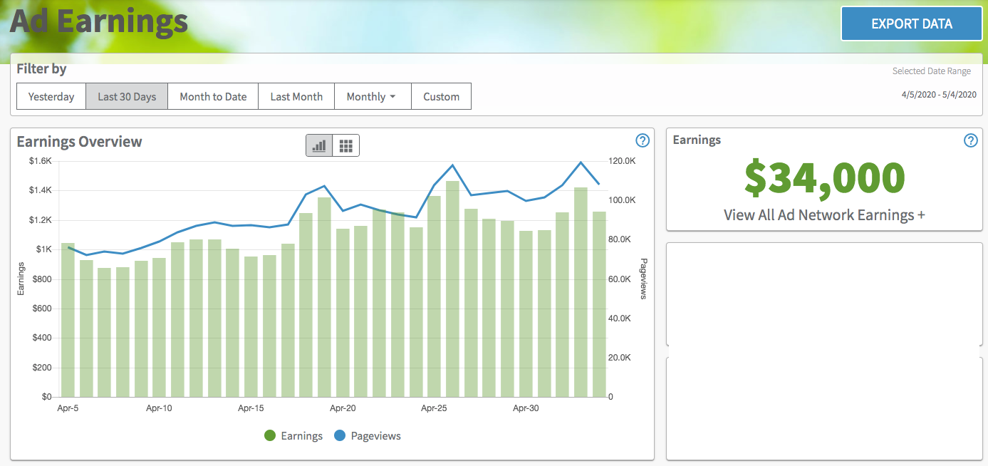 Ad revenue from niche website