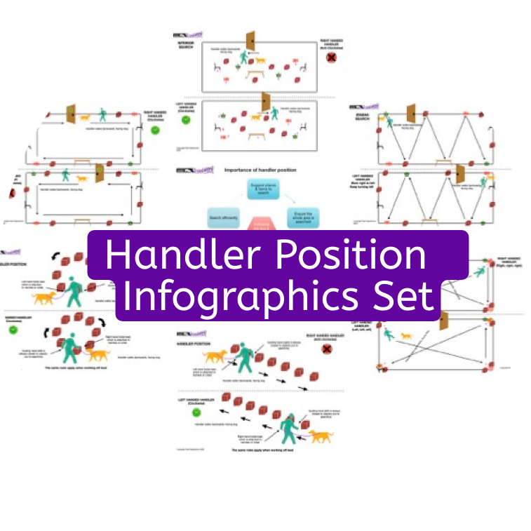 handler position inforaphics