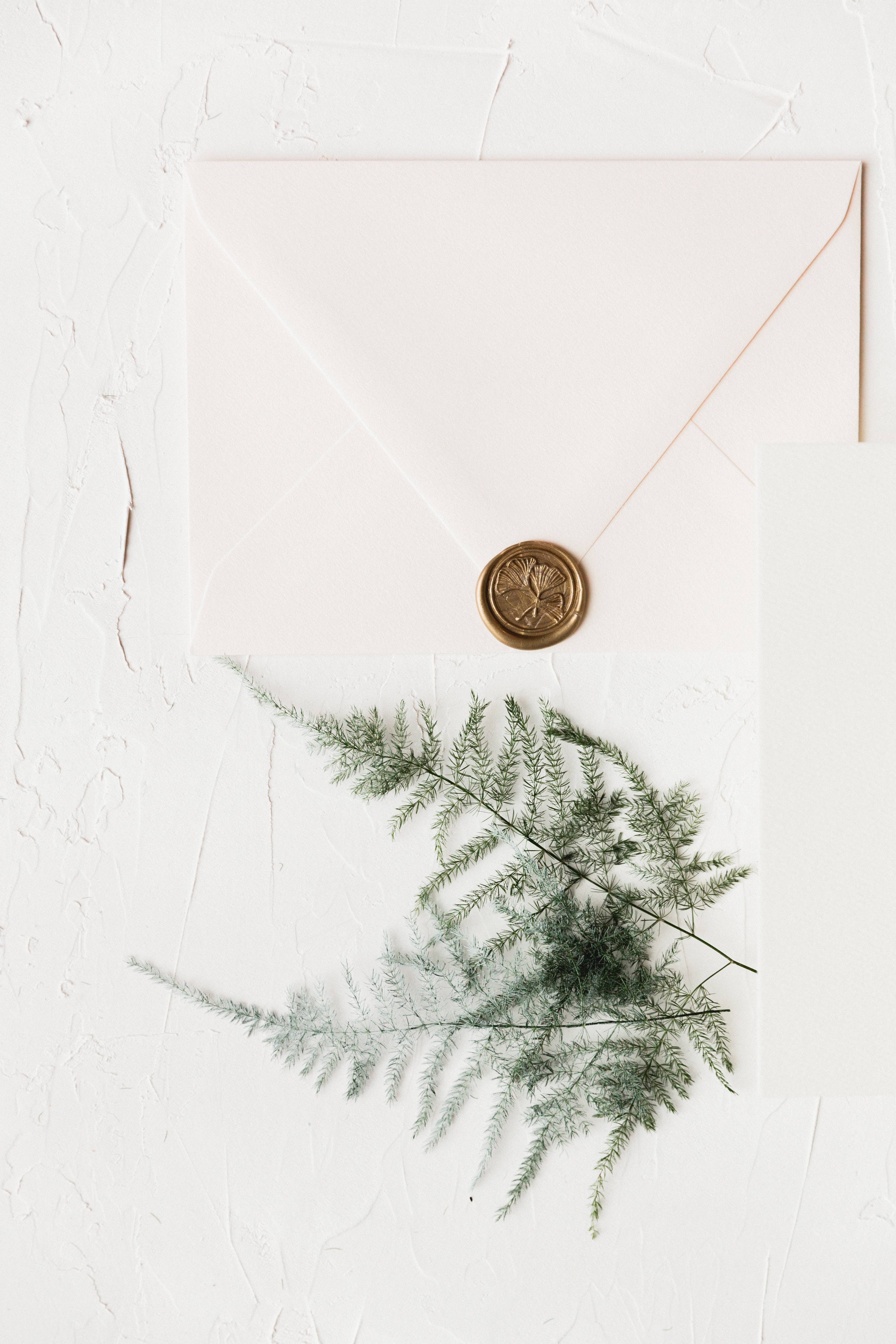 sealed envelop and leaf Photo by Katie Goertzen from Pexels