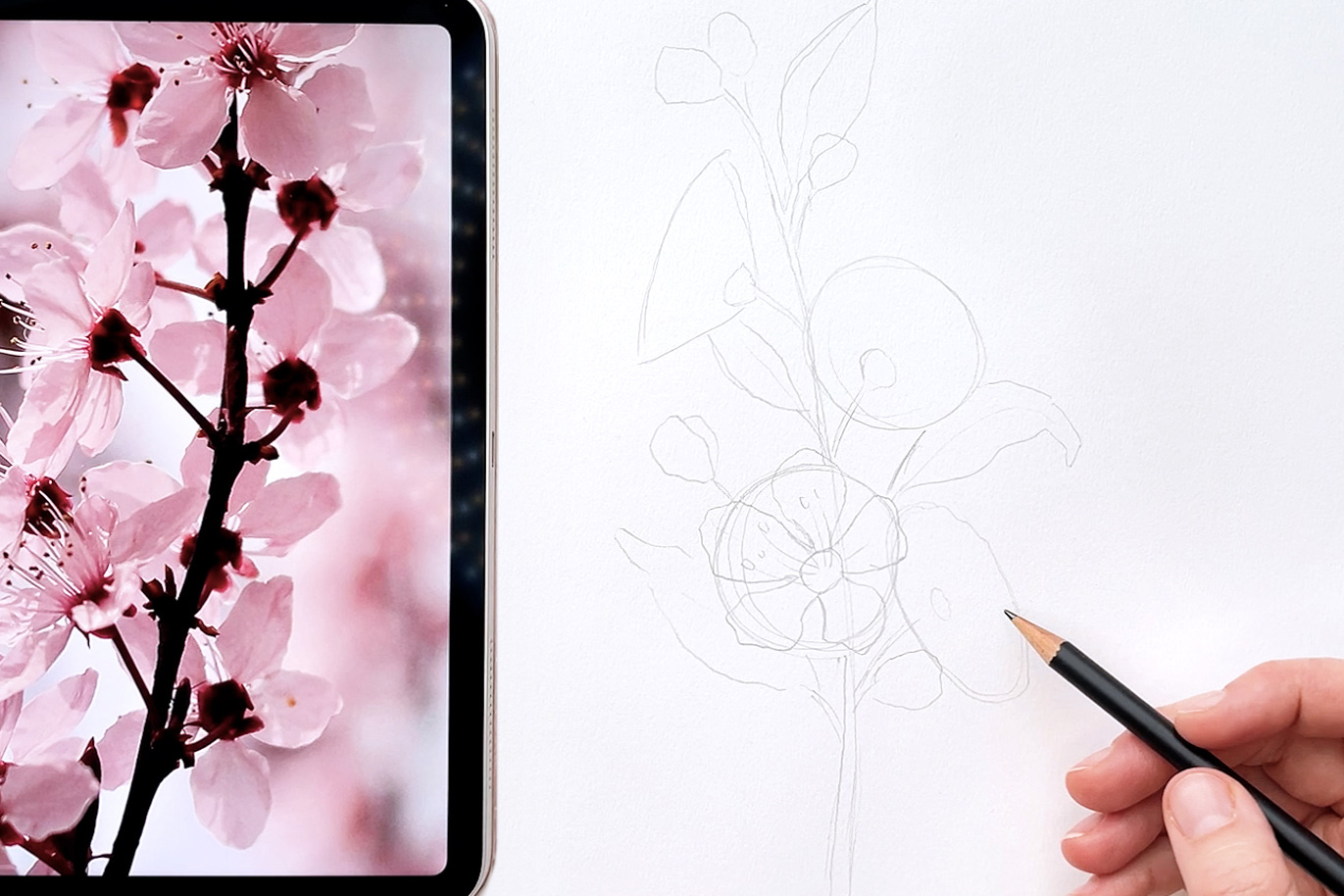 how to draw flowers - Bloom Creatives art classes 