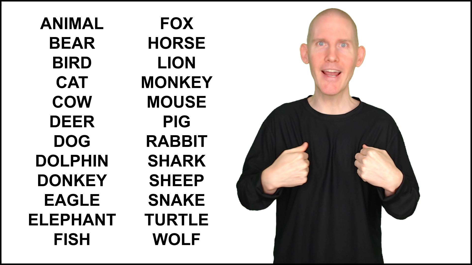 asl-number-animal-sentences-american-sign-language-able-lingo