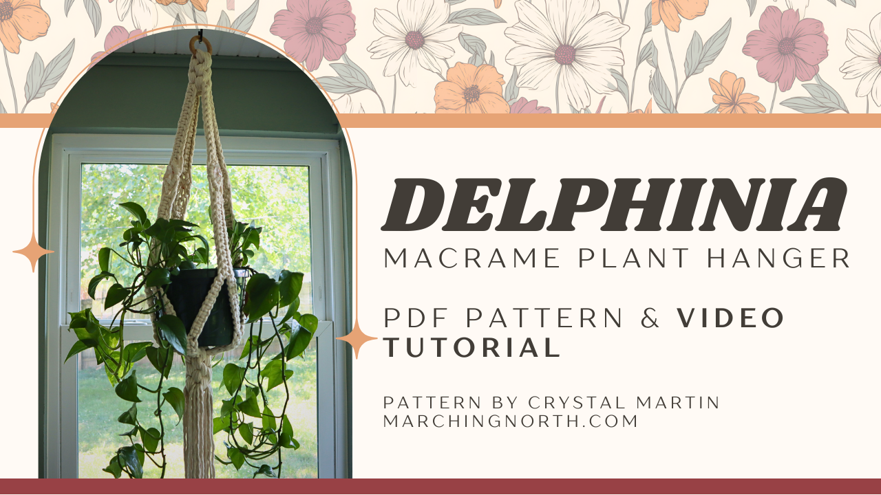 Delphinia macrame wall plant hanger