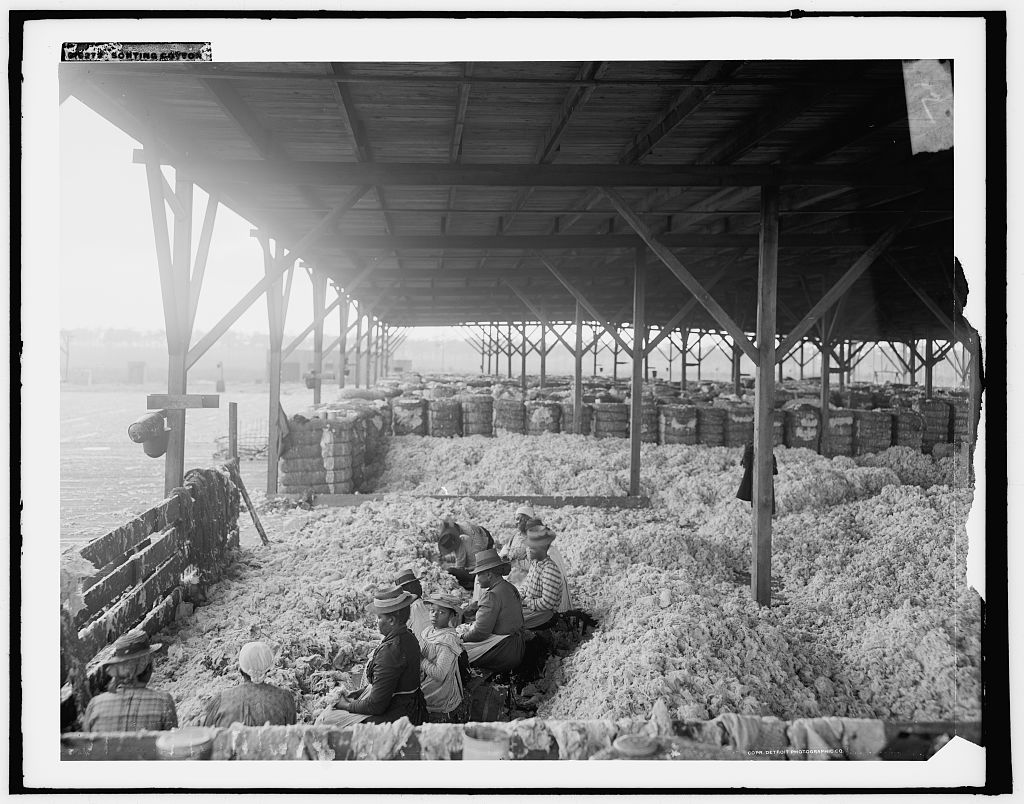 Sorting Cotton