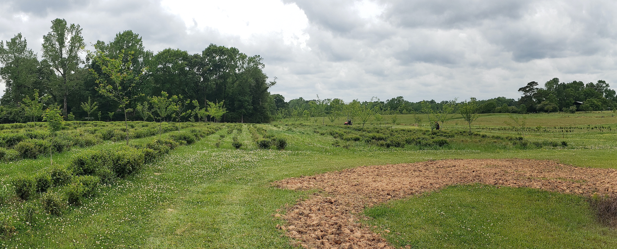 Farm view 