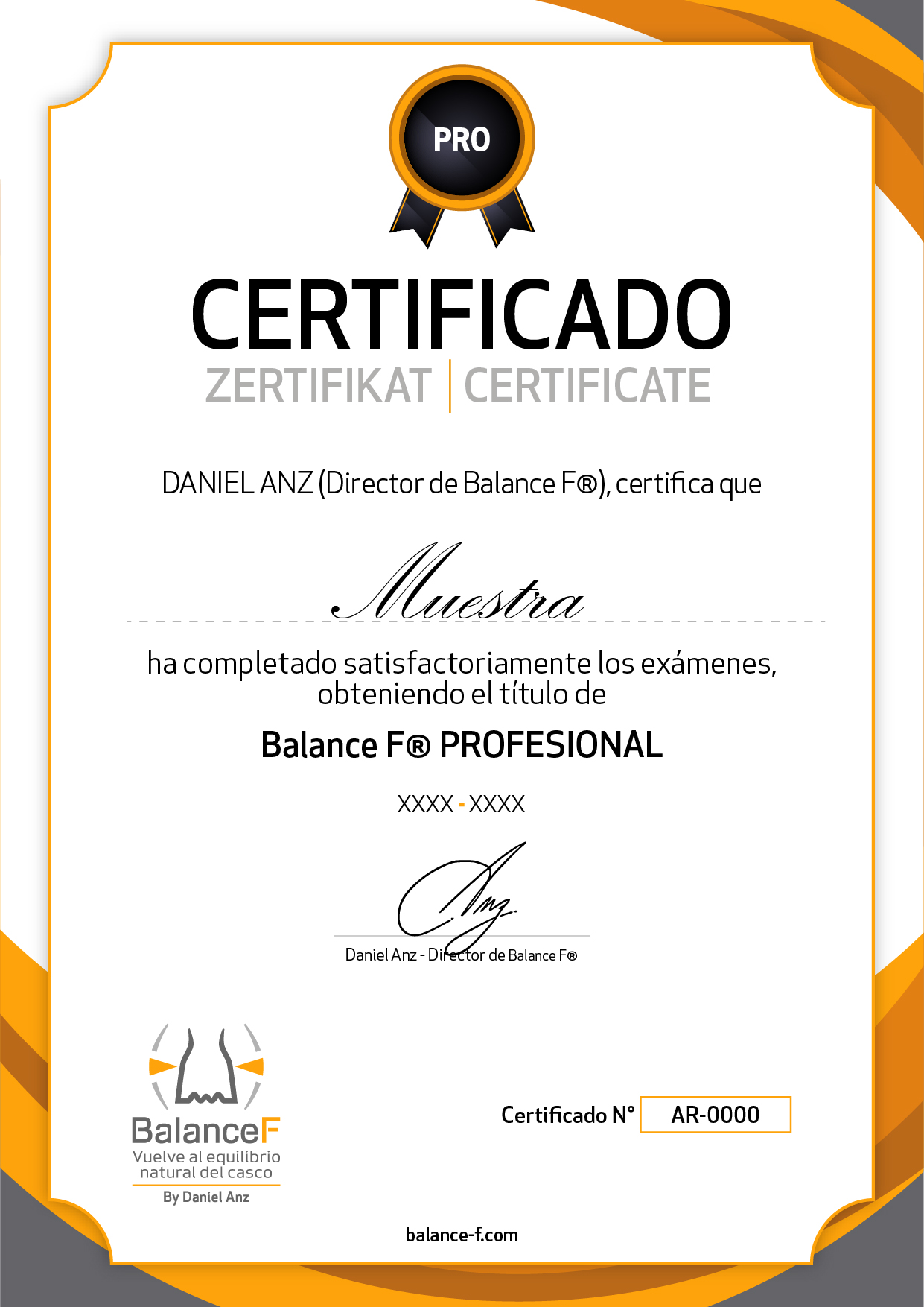 Certificado Balance F Profesional