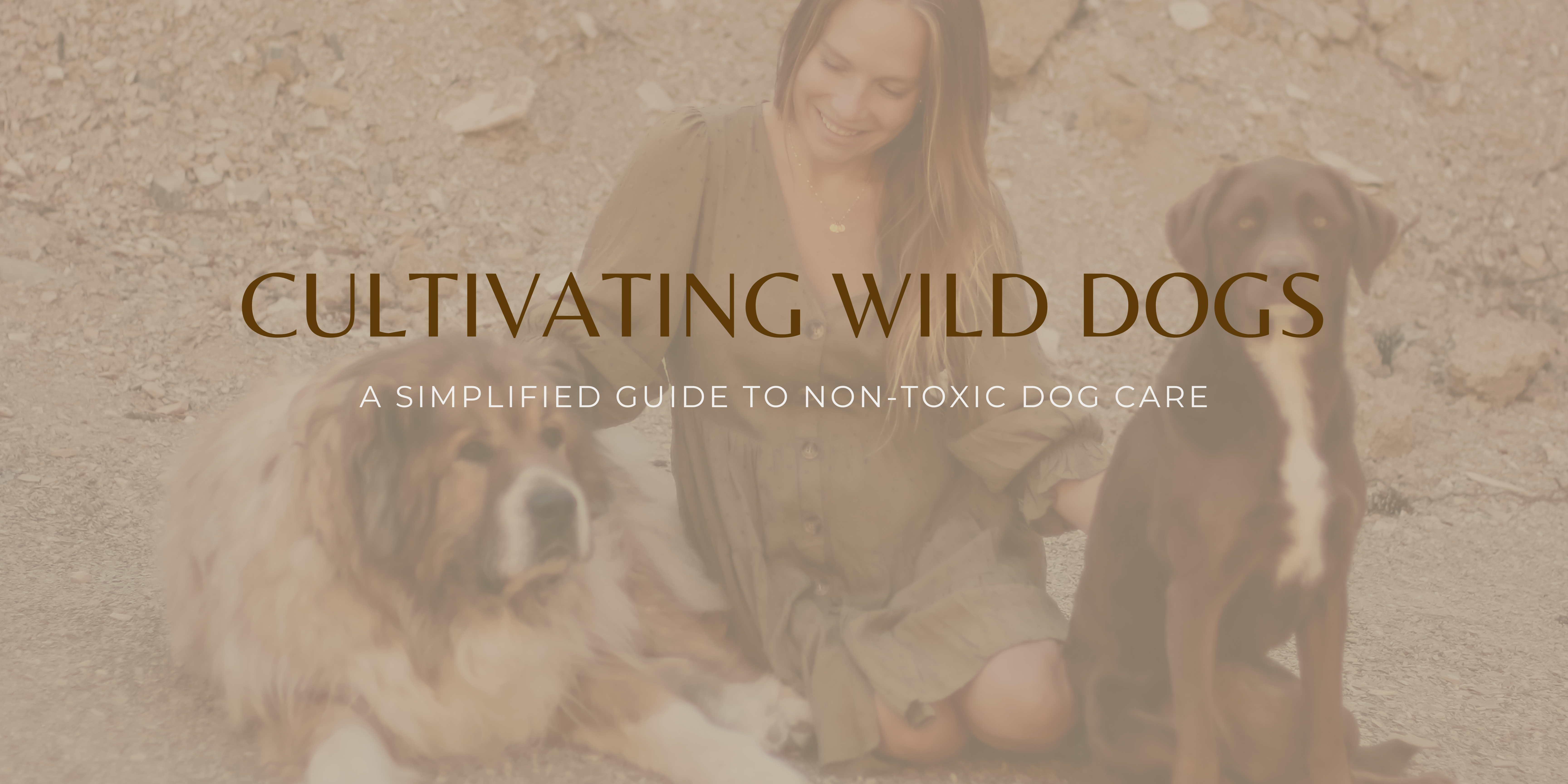 a simplified guide to non-toxic dog care