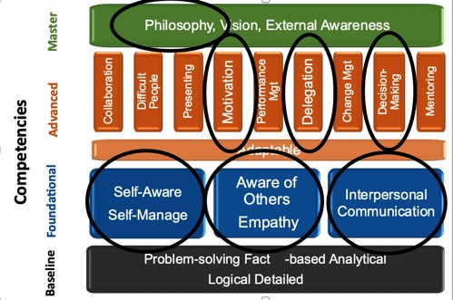 Blue Fjord Leadership System Competencies