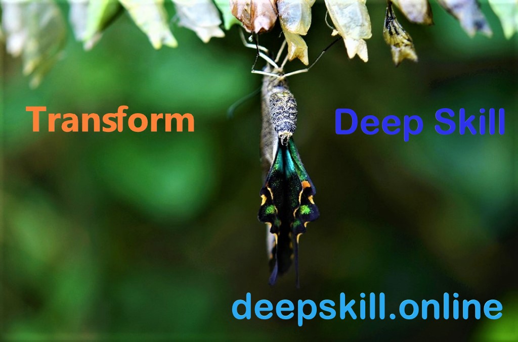 Coding and Language skill for your transformation