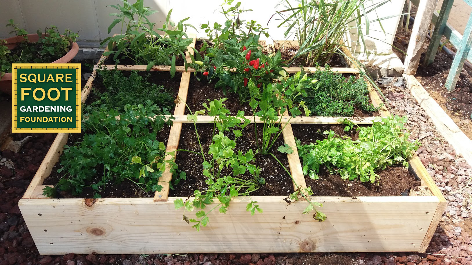 square foot garden