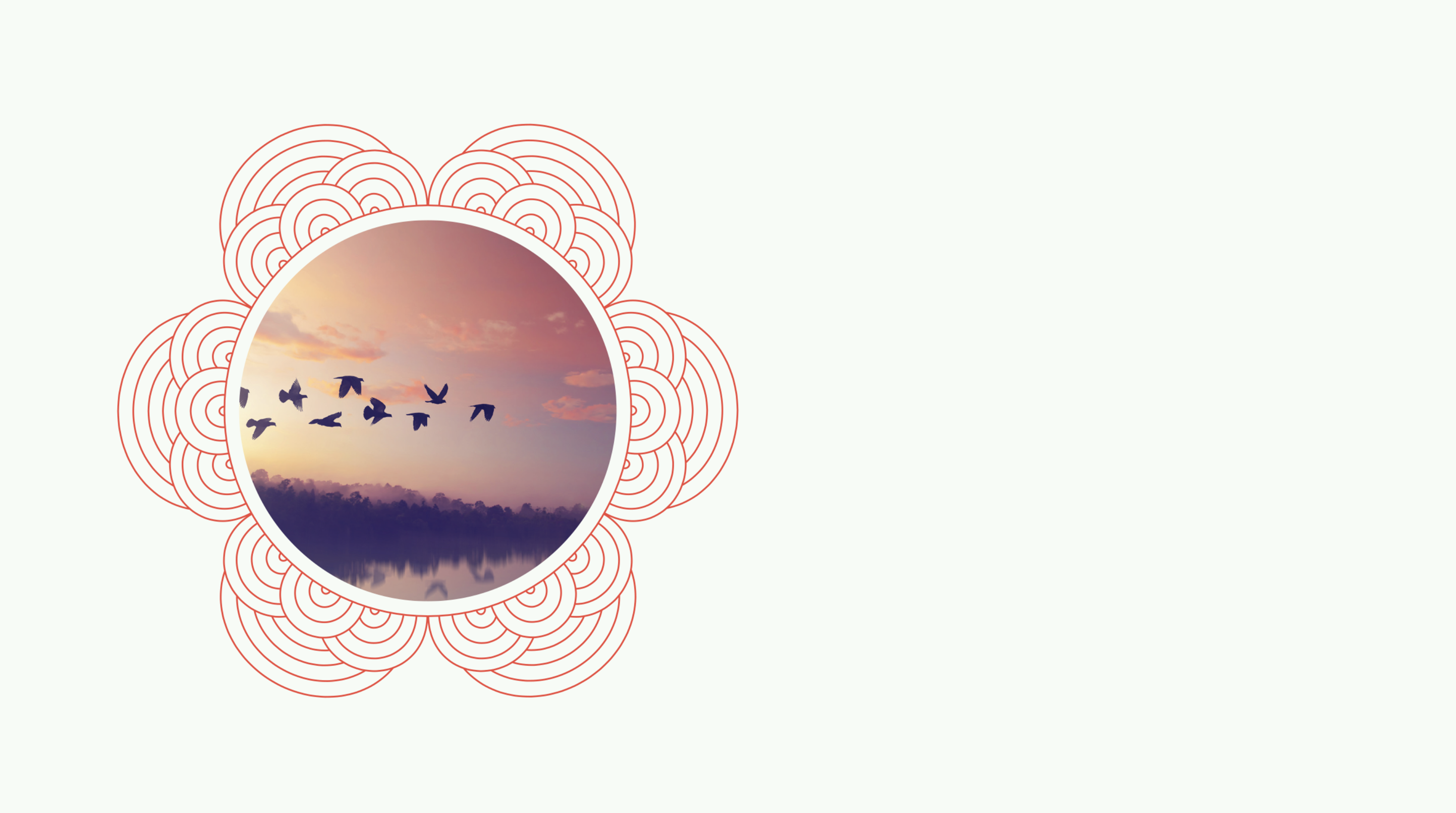 Photo of geese flying in front of a sunset surrounded by a design of undulating circles