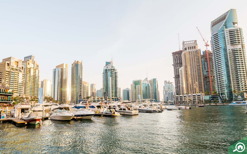 dubaimarinaviews