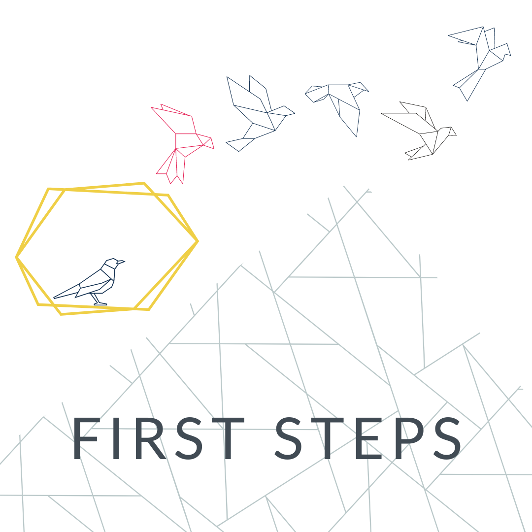 Human Design First Steps Beginners