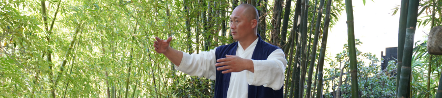 Grand Master Shi Yanxu doing Qigong